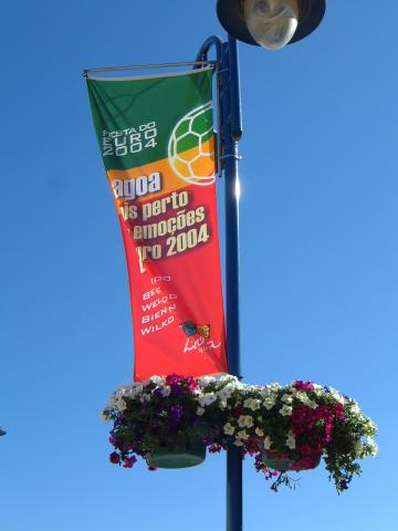 gal/Newsletters/July_2004/Flags and flowers.jpg